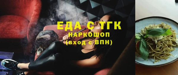 стаф Аркадак