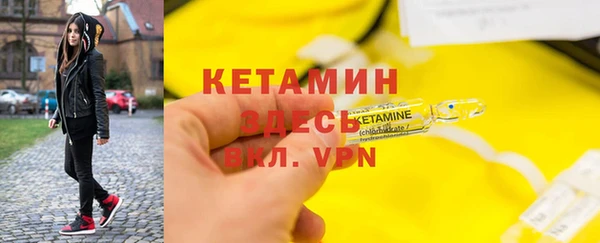 стаф Аркадак