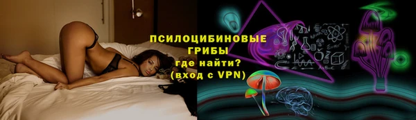 тгк Арсеньев