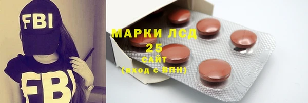 стаф Аркадак