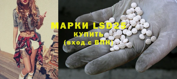 стаф Аркадак