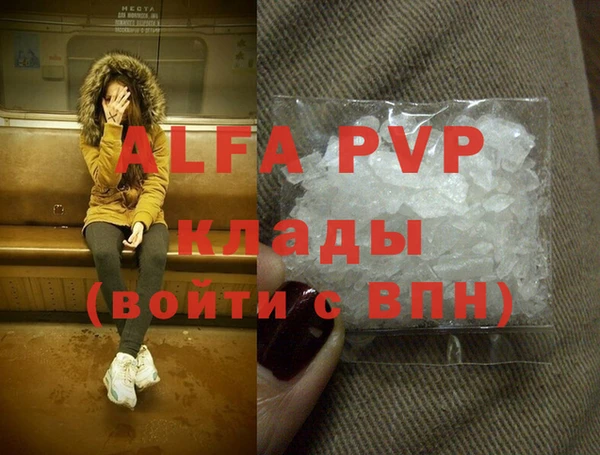 стаф Аркадак
