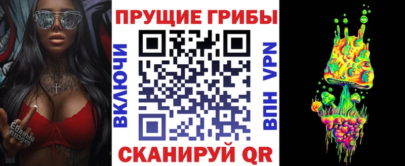 Галлюциногенные грибы Psilocybe  Купить где  Сафоново 