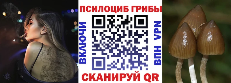 Галлюциногенные грибы Magic Shrooms Сафоново